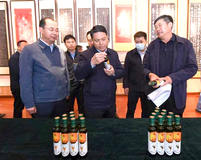 鞠振在忻州调研