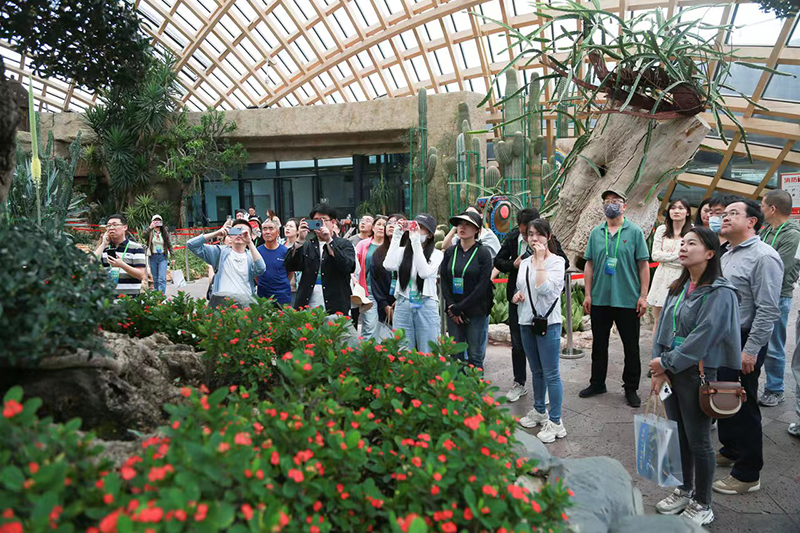 太原西山:抚平生态“伤口” 不负绿水青山