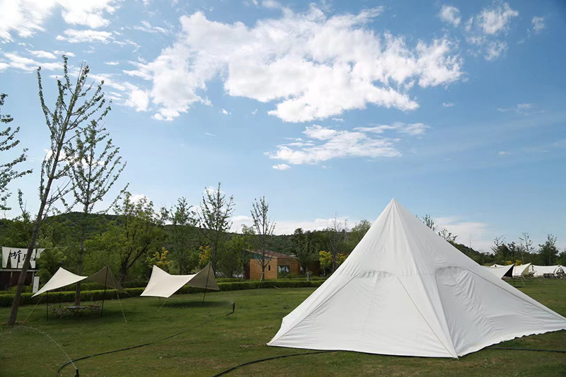 太原西山:抚平生态“伤口” 不负绿水青山