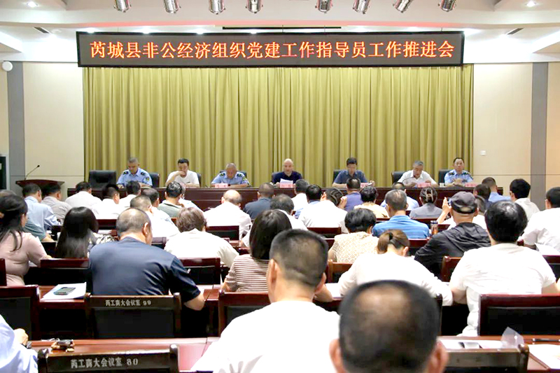 芮城县非公企业党委组织召开党建指导员工作推进会