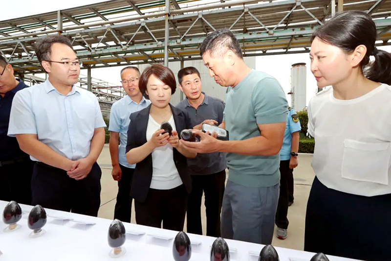 景莉莉深入碳基新材料产业链链核企业进行“惠企直通车”市场主体提升年专项调研