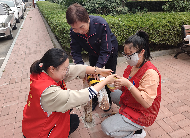 晋源区金胜镇开展“靓丽星期五·创卫在行动”主题活动