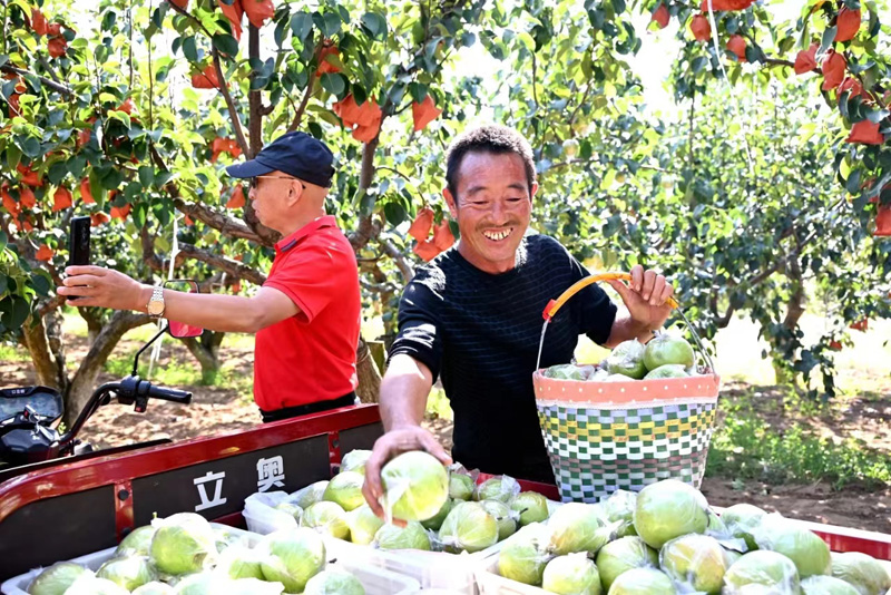 “隰县玉露香梨”入选国家级名录