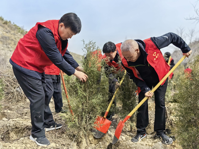 汾阳市市场监督管理局:植树十四载  共筑绿色梦