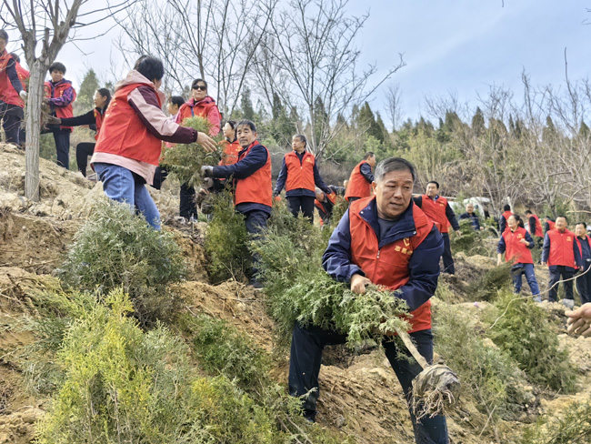 汾阳市市场监督管理局:植树十四载  共筑绿色梦