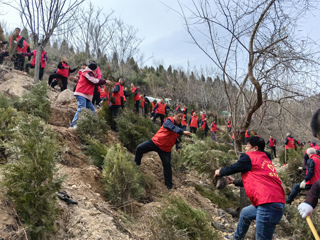 汾阳市市场监督管理局:植树十四载  共筑绿色梦