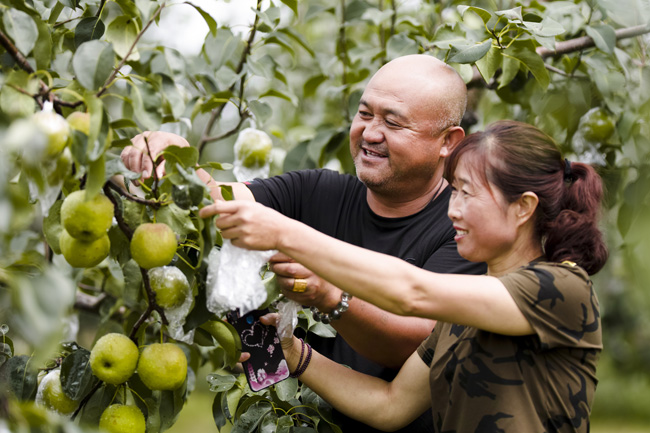 “又见梨花开·隰州等您来”隰县玉露香梨花节将盛情启幕