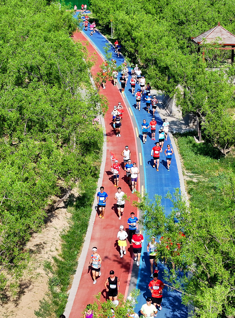 2024稷山马拉松赛成功举办 4000余名参赛选手激情演绎“稷马”精彩