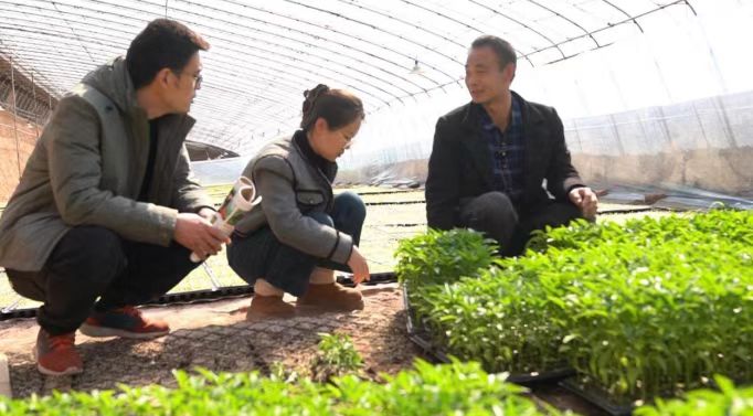 盐湖区：春耕备耕育苗忙