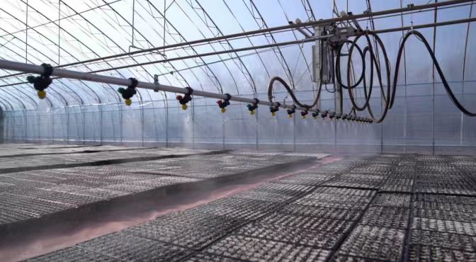 盐湖区：春耕备耕育苗忙