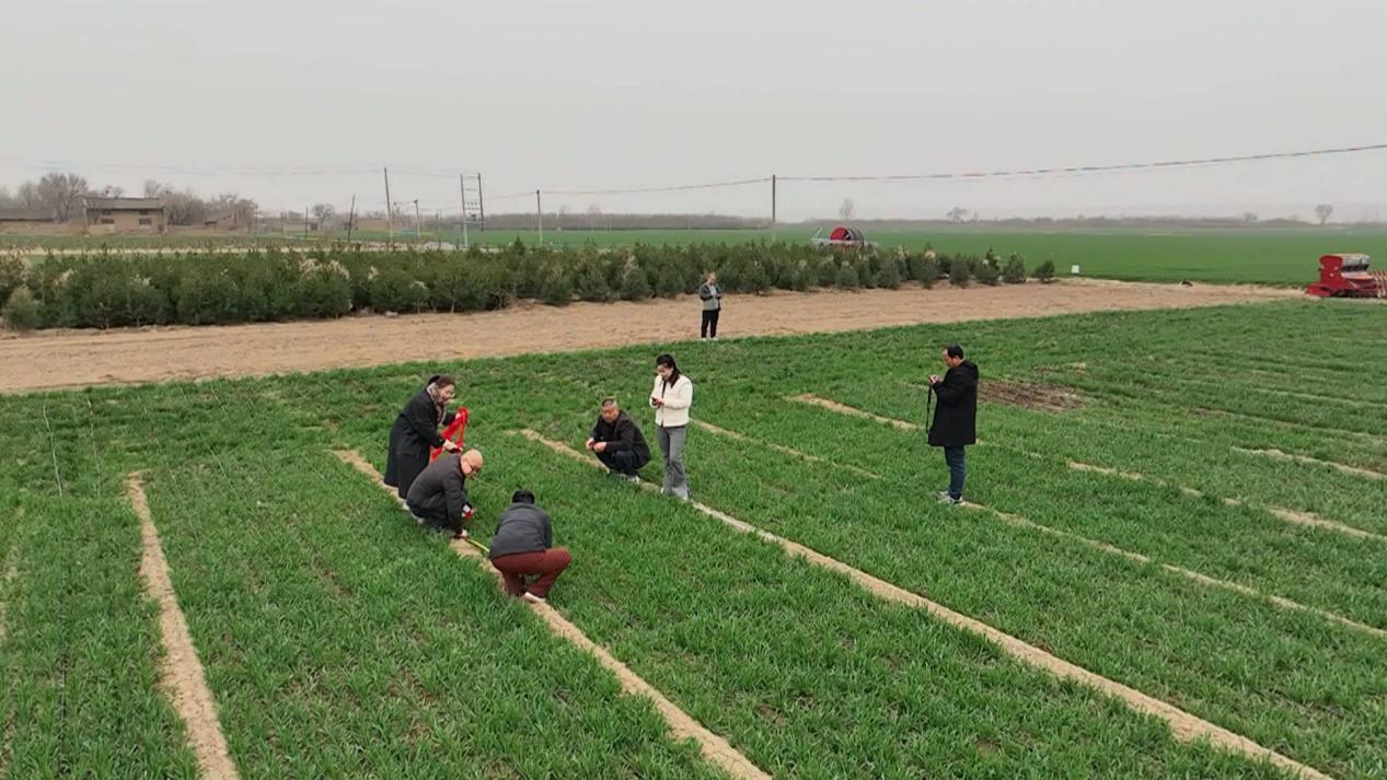 春管踏上“新赛道”:农技为基,科技助力