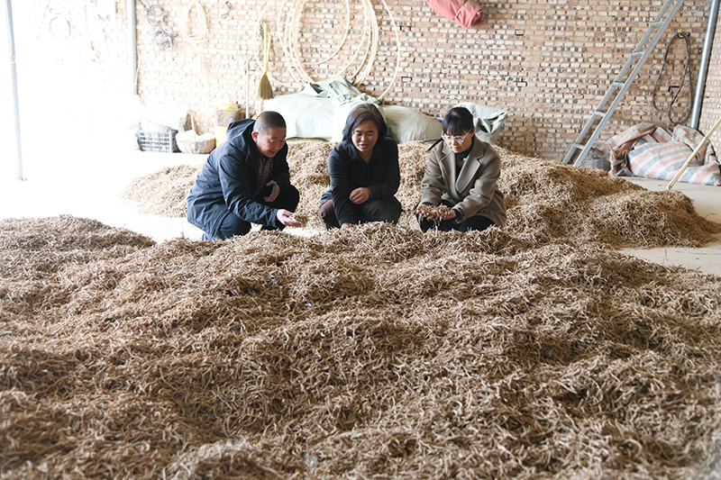 山西闻喜小王沟,“脱贫户”变身“富裕家”