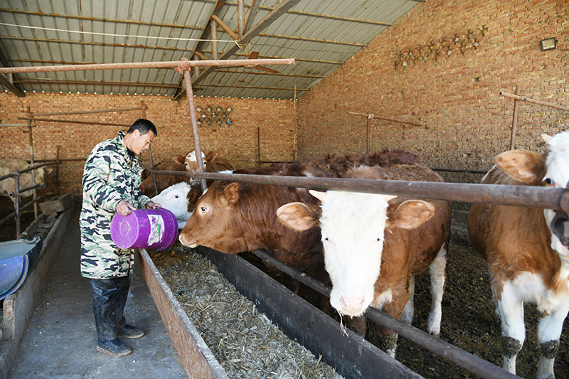 山西闻喜小王沟,“脱贫户”变身“富裕家”