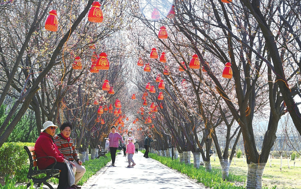 诗意桃花蹊