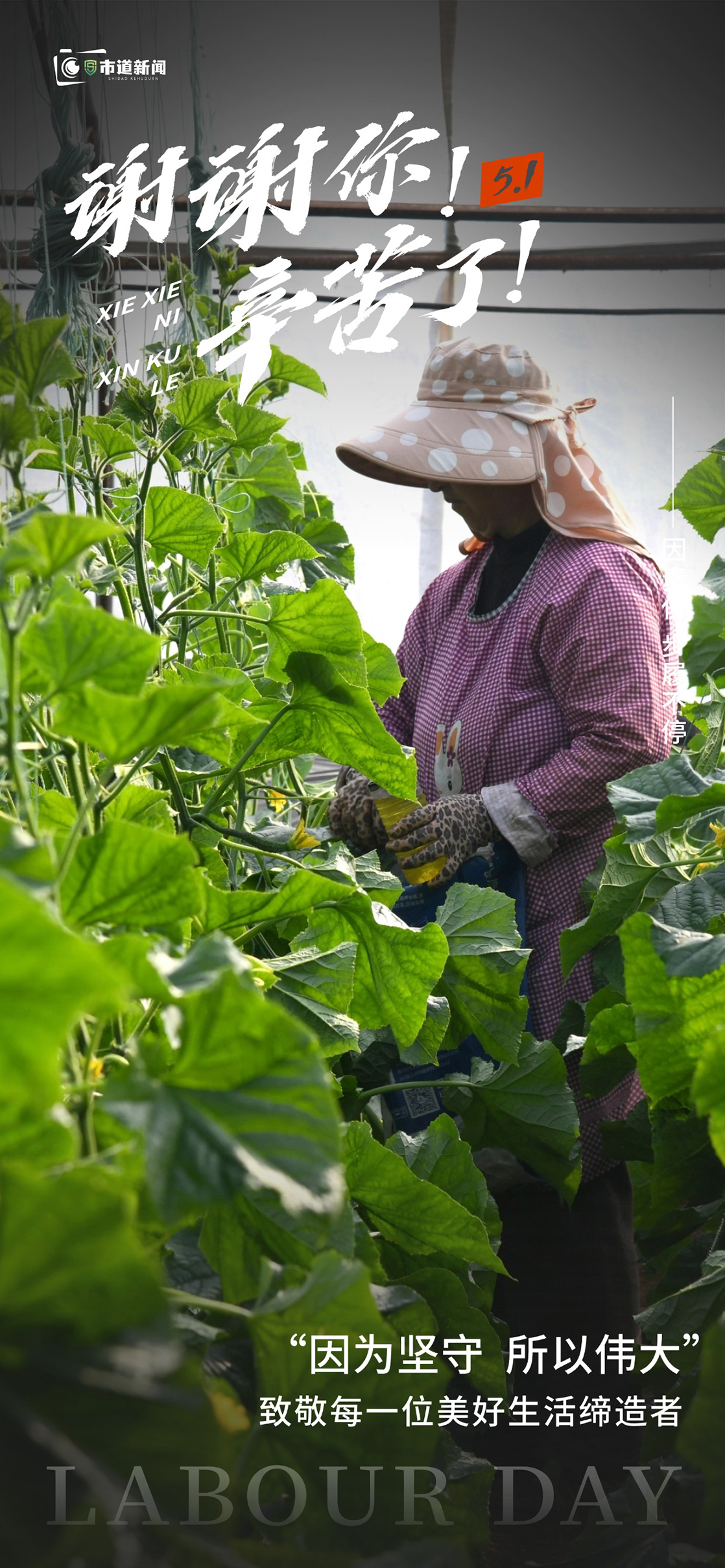 运城闻喜:礼赞劳动精神 致敬奋斗者