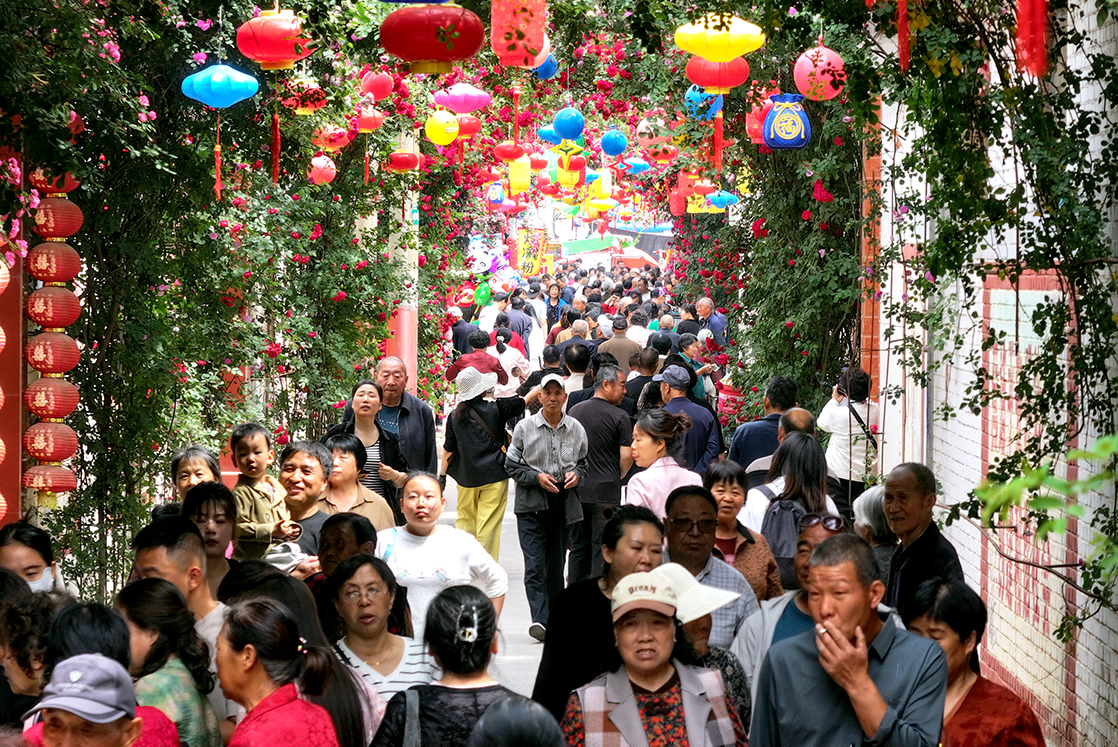 山西闻喜沟渠头村:三千月季绘就乡村振兴 “花漾图景”