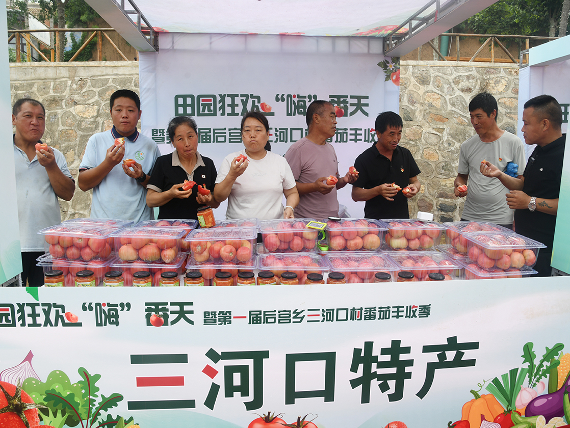 闻喜三河口村:番茄丰收季激活田园经济 农旅融合绘就振兴画卷