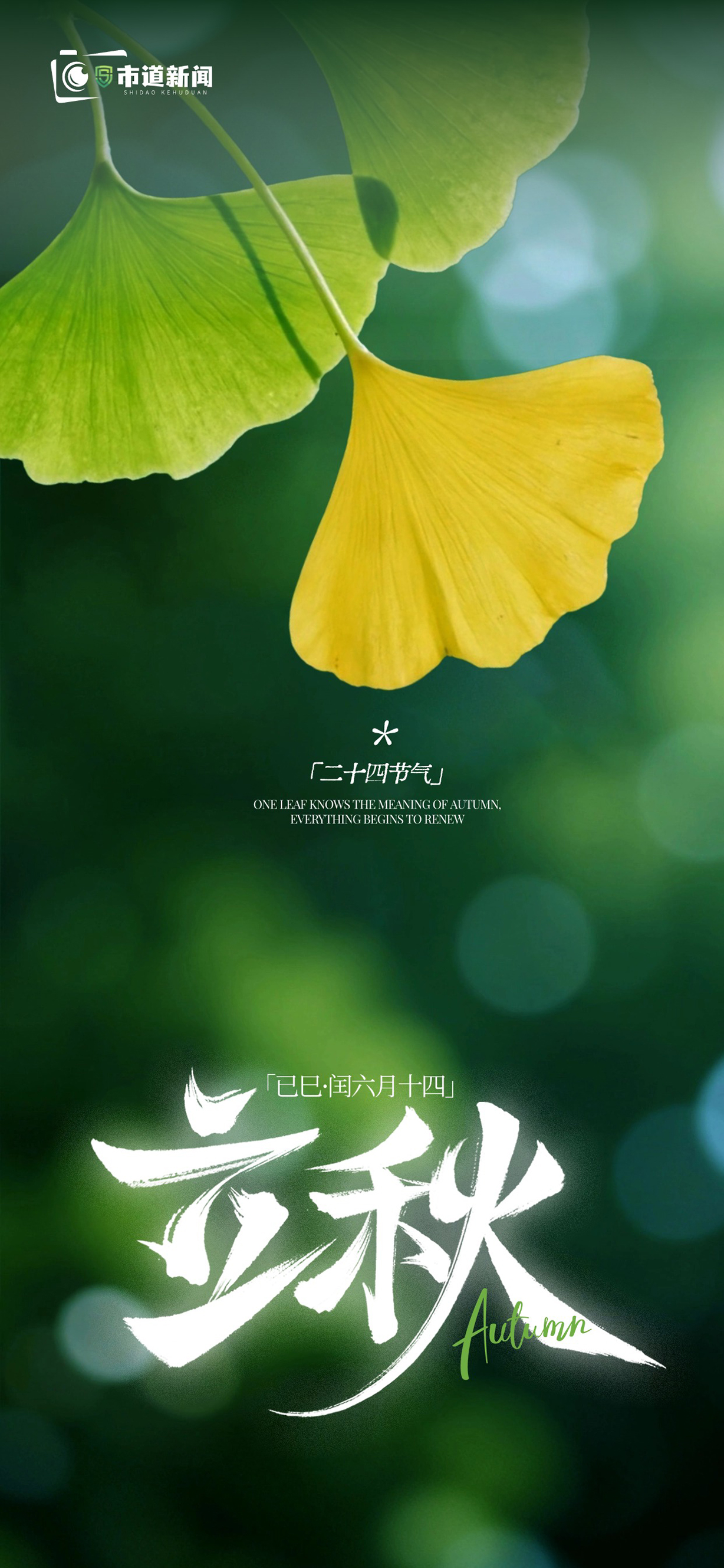 立秋后暑热未消 五种当季水果助您清爽度夏