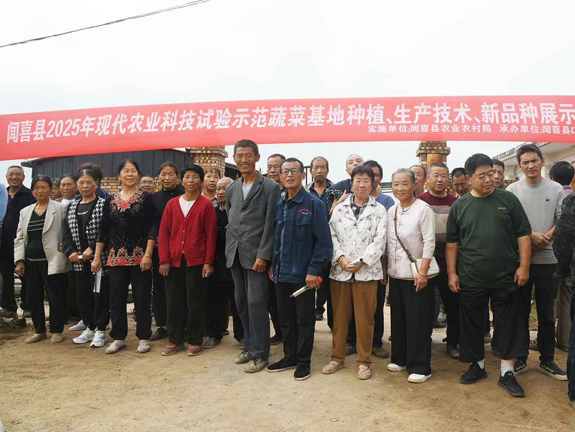 闻喜县召开现代农业科技交流会 为蔬菜产业高质量发展注入新动能