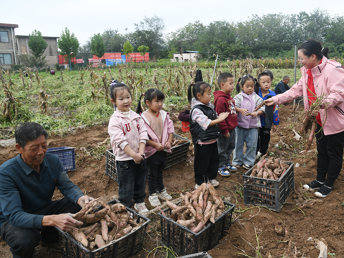 闻喜县幼儿园阳隅分院：田间劳动课 收获成长味​