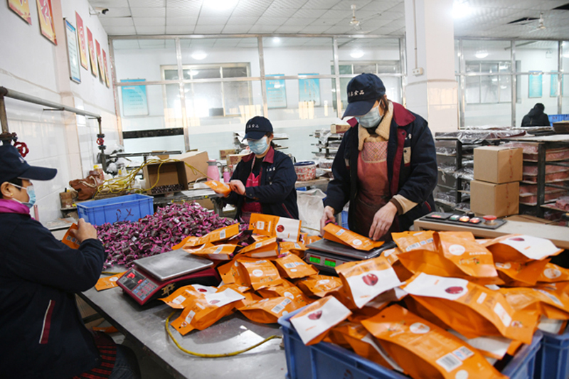 闻喜畖底镇:四大产业集群赋能乡村振兴