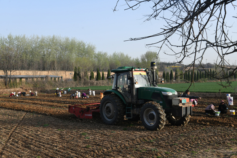 闻喜畖底镇:四大产业集群赋能乡村振兴