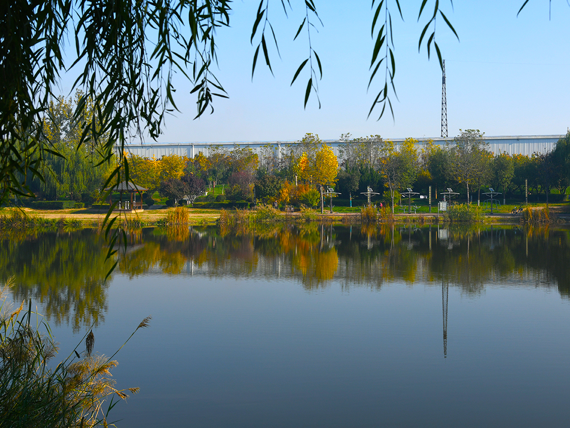 闻喜县:生态治理绘新卷 绿色发展谱华章