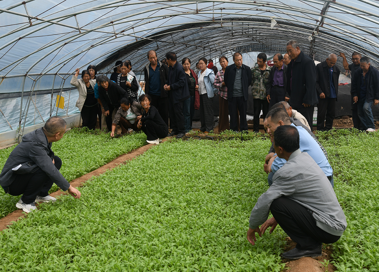 山西人大代表王作新深入闻喜农村宣讲党的二十届四中全会精神