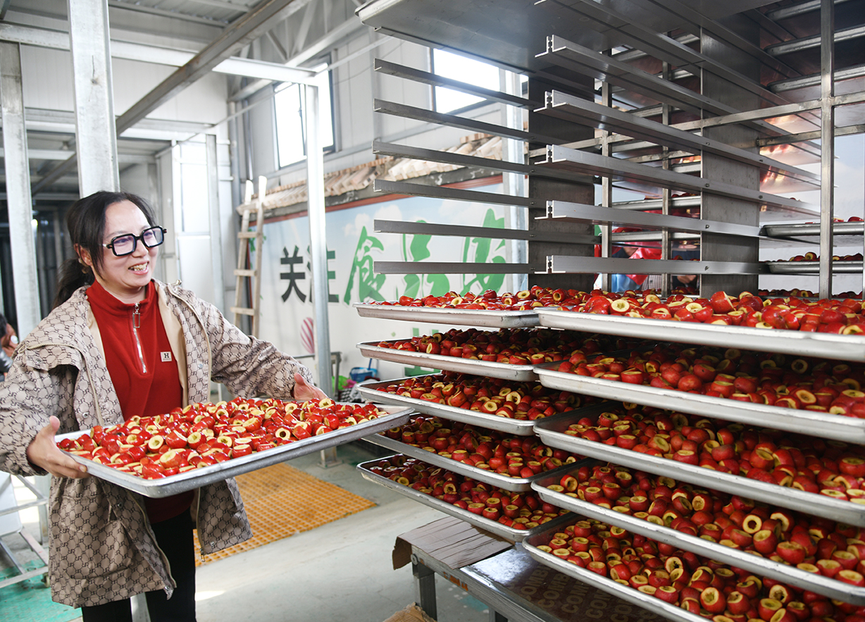 科技赋能延链增效 闻喜阳隅镇冻干产业促乡村增收