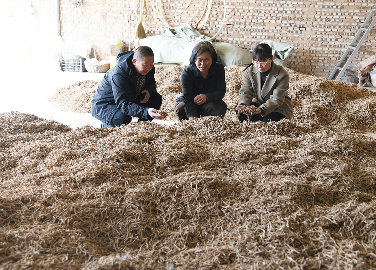闻喜：“庭院经济+”多点突破 激活乡村振兴新动能