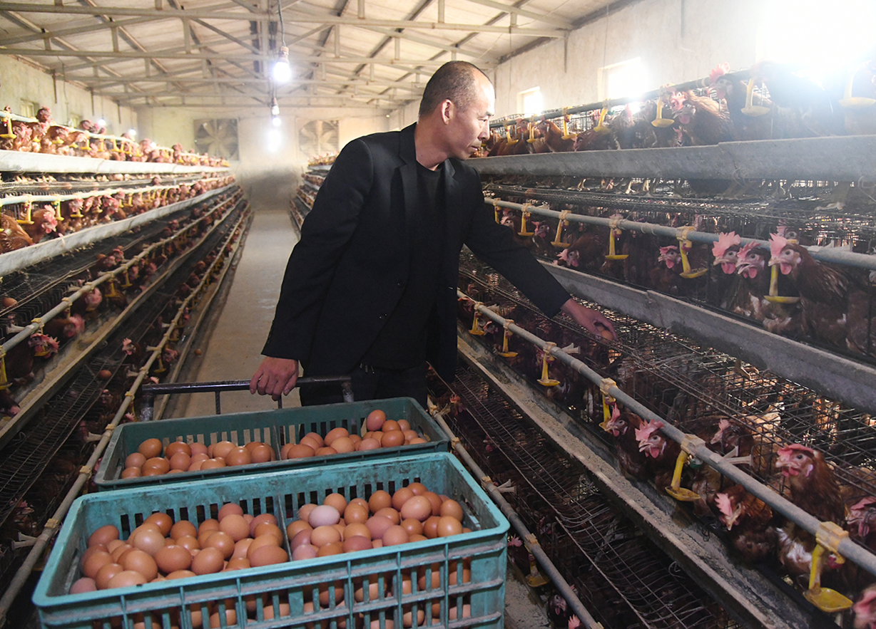 闻喜：“庭院经济+”多点突破 激活乡村振兴新动能