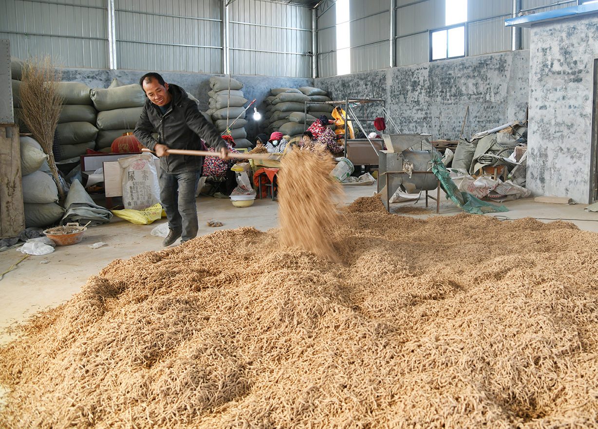 闻喜：“庭院经济+”多点突破 激活乡村振兴新动能