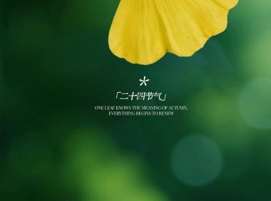 立秋后暑热未消 五种当季水果助您清爽度夏