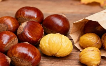 秋季板栗食用指南：别让”栗子香”变”肠胃慌”