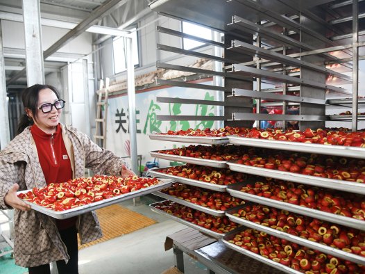 科技赋能延链增效 闻喜阳隅镇冻干产业促乡村增收