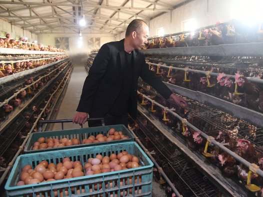 闻喜：“庭院经济+”多点突破 激活乡村振兴新动能