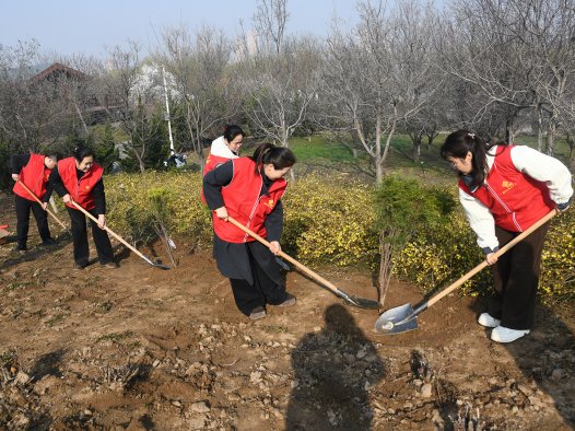 山西闻喜：植树添新绿 共建生态美家园